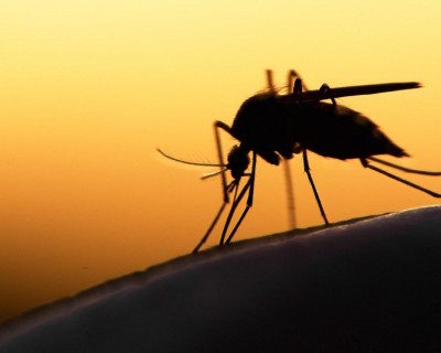 World Malaria Day 2019: Zero Malaria Starts with me