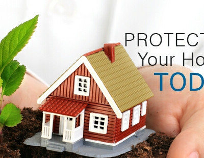 Domestic Package Insurance Common Coverage Situations with Trees