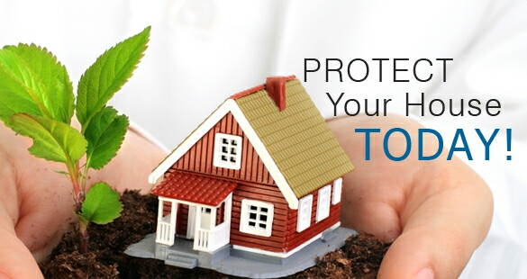 Domestic Package Insurance Common Coverage Situations with Trees